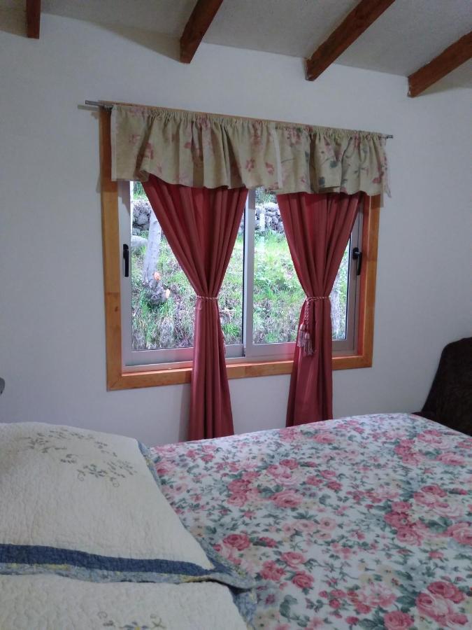 Flor/Victoria Bed & Breakfast Villarrica Luaran gambar
